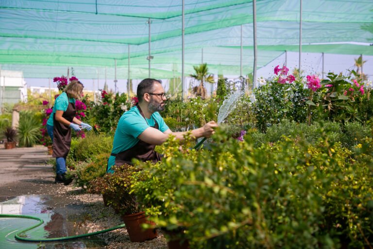 Gardeners in aprons growing plants in greenhouse